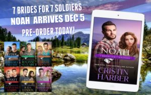 pre-order the 7 brides for 7 soldiers