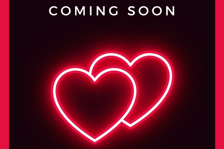 temporary cover for Hide and Seek by Cristin Harber