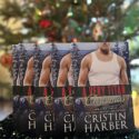 Several paperback copies of A VERY TITAN CHRISTMAS in front of a Christmas tree