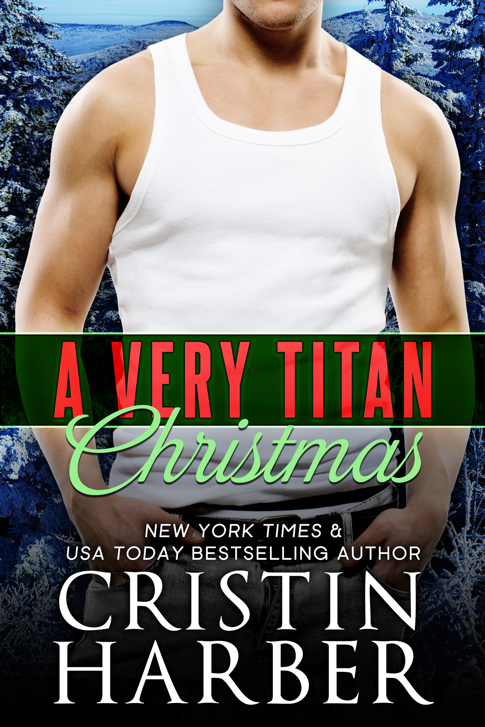 A Very Titan Christmas by Cristin Harber book cover