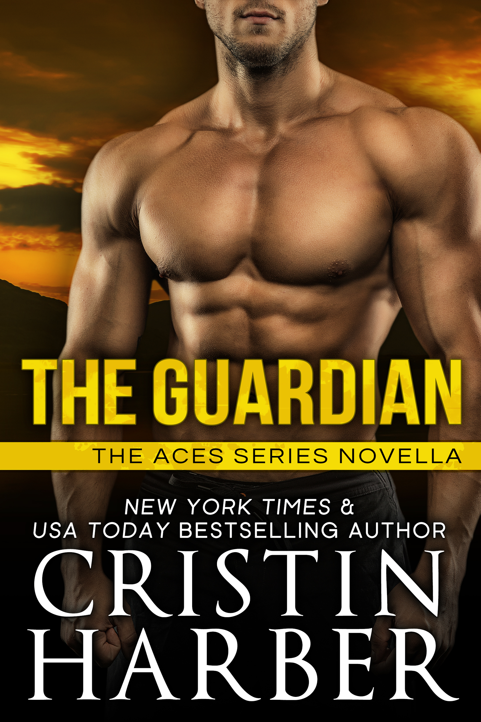 The Guardian by Cristin Harber book cover